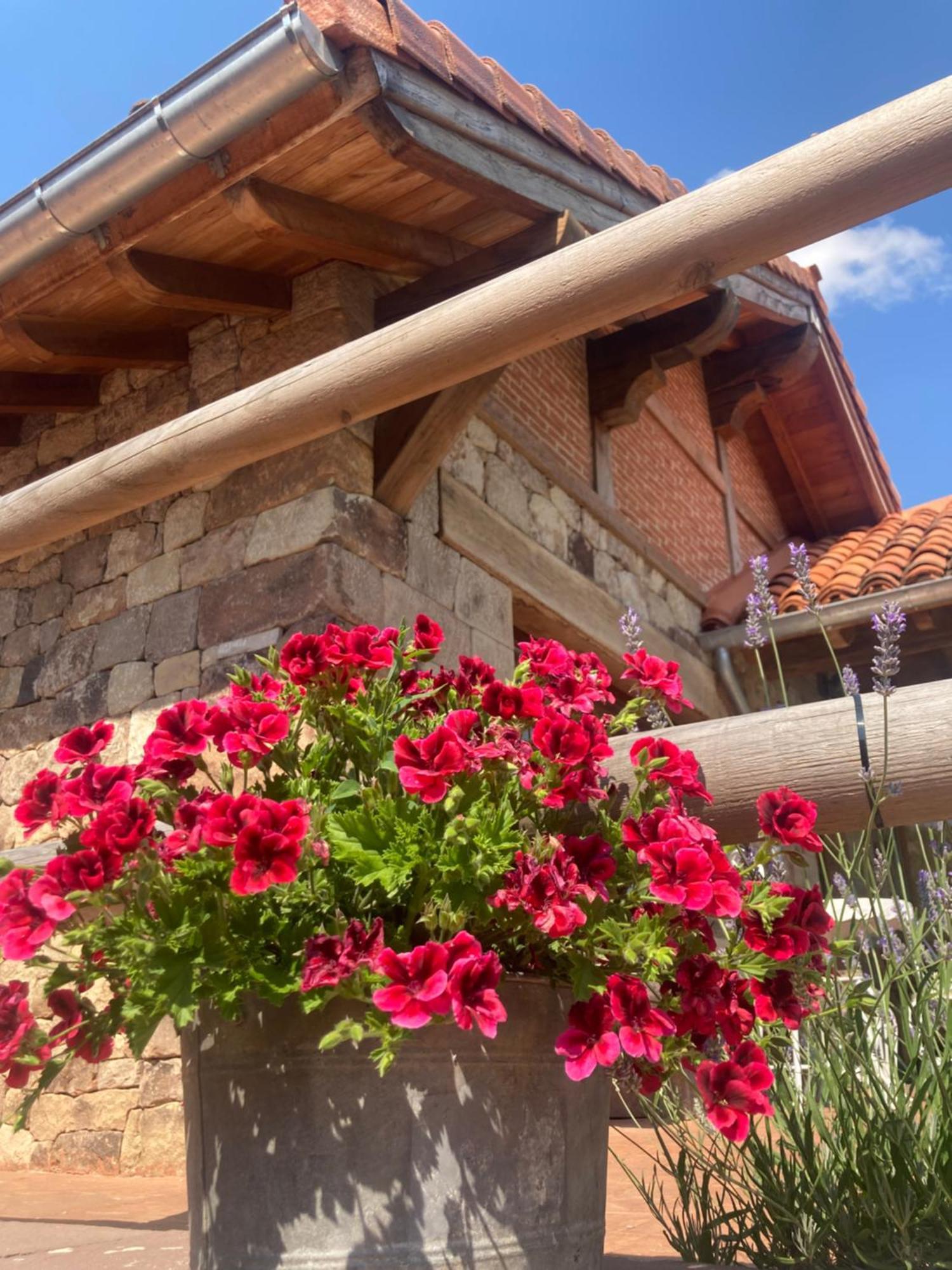 Chozos De La Brana Chalet Branosera